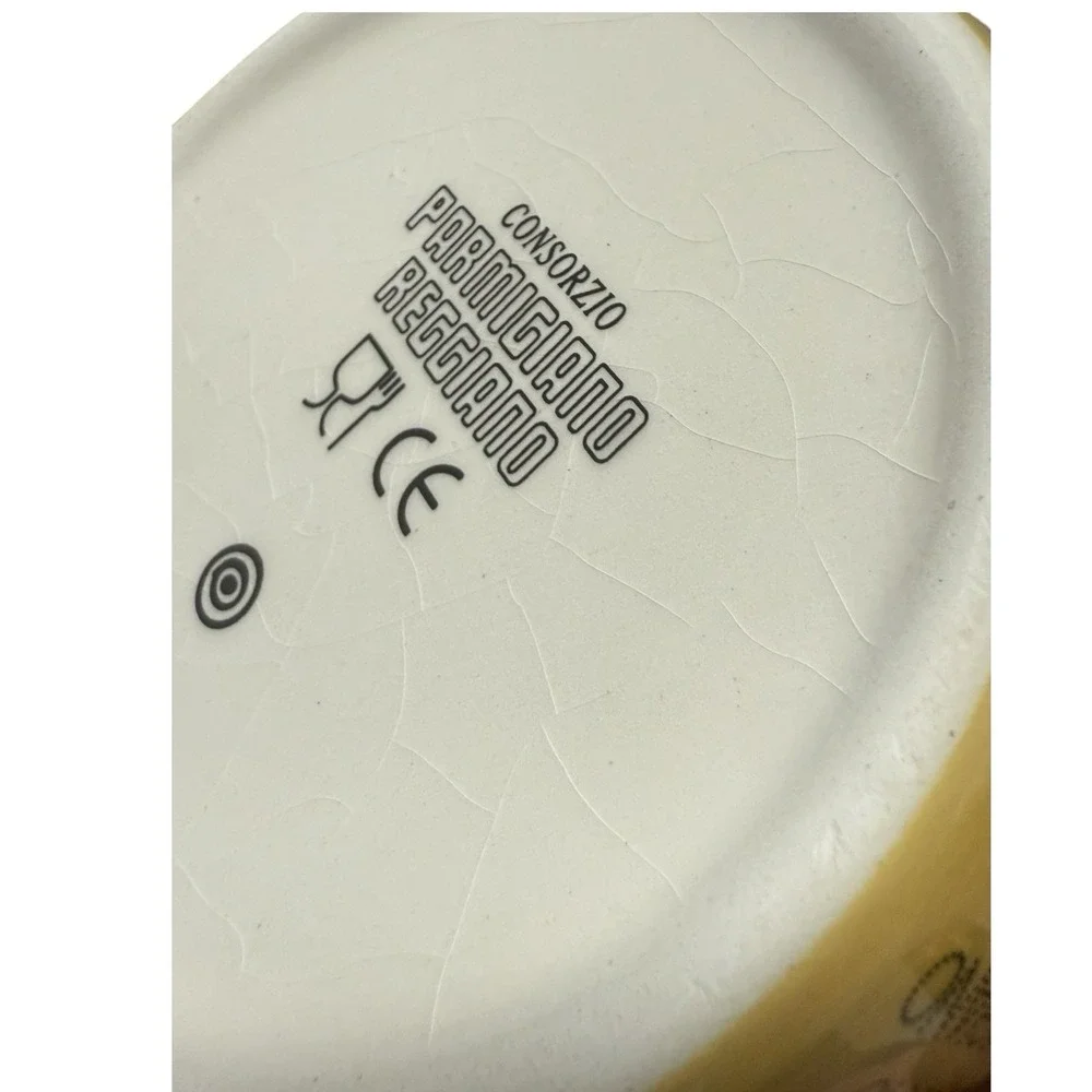 Parmigiano-Reggiano Cheese Slice Ceramic Container Lid CheeStyle Yellow Italy